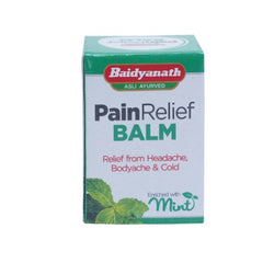 Baidyanath Ayurvedic Jhansi Balm 10g Baidyanath Ayurvedic Jhansi Balm 10g