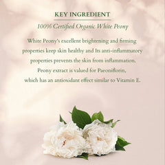 Lotus Organics+ Cosmetics Summer Bakuchiol Combo Lotus Organics+ Cosmetics Summer Bakuchiol Combo