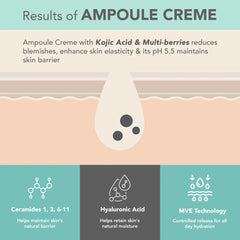Lotus Cosmetics Derma Botanics Kojic Acid + Multi Berry Ampoule Crème Cream 50g Lotus Cosmetics Derma Botanics Kojic Acid + Multi Berry Ampoule Crème Cream 50g