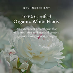 Lotus Herbals Cosmetics Precious Brightening Facial Kit Lotus Herbals Cosmetics Precious Brightening Facial Kit