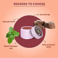 Aimil Ayouthveda Cosmetics Chocolate & Mint Lip Balm 10g Aimil Ayouthveda Cosmetics Chocolate & Mint Lip Balm 10g