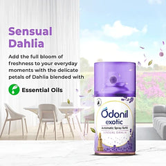 Odonil Exotic Automatic Spray with Floral Bliss,Ocean Breeze & Sensual Dahlia Machine Refill 225ml Odonil Exotic Automatic Spray with Floral Bliss,Ocean Breeze & Sensual Dahlia Machine Refill 225ml