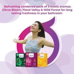 Odonil Gel Pocket Air Freshener for Bathroom,Toilet,Home & Office Citrus Bloom,Floral Valley,Wild Forest & (Combo Citrus Bloom,Floral Valley,Wild Forest) Odonil Gel Pocket Air Freshener for Bathroom,Toilet,Home & Office Citrus Bloom,Floral Valley,Wild Forest & (Combo Citrus Bloom,Floral Valley,Wild Forest)