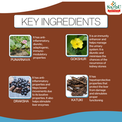 Sandu Ayurvedic Punarnavasav Liquid Sandu Ayurvedic Punarnavasav Liquid