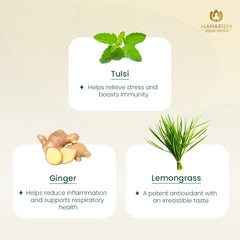 Maharishi Tulsi Green Tea Lemon Ginger Ayurvedic Stress Relief & Immunity 20 Tea Bag Maharishi Tulsi Green Tea Lemon Ginger Ayurvedic Stress Relief & Immunity 20 Tea Bag