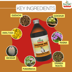 Sandu Ayurvedic Rasnasaptak Kadha Liquid 450ml Sandu Ayurvedic Rasnasaptak Kadha Liquid 450ml