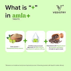 Vedistry Ayurvedic Amla+ Strengthens Overall Health 60 Tablets Vedistry Ayurvedic Amla+ Strengthens Overall Health 60 Tablets