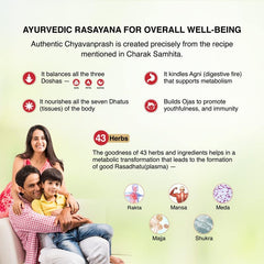 Maharishi Ayurveda Authentic Chyavanprash Effective 500gm Maharishi Ayurveda Authentic Chyavanprash Effective 500gm