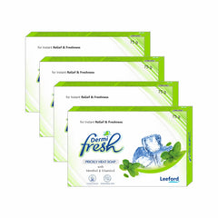 Leeford Dermi Fresh Prickly Heat Bathing Soap Menthol And Vitamin E Leeford Dermi Fresh Prickly Heat Bathing Soap Menthol And Vitamin E