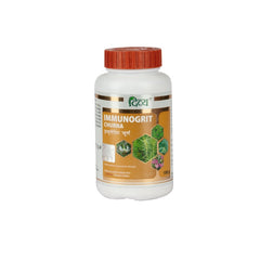 Patanjali Divya Immunogrit Churna Powder 100g Patanjali Divya Immunogrit Churna Powder 100g