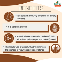 Sandu Ayurvedic Gokshur Kadha Liquid Sandu Ayurvedic Gokshur Kadha Liquid