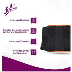 Flamingo Health Orthopaedic Contoured L S Support Unisex Code 2007 Flamingo Health Orthopaedic Contoured L S Support Unisex Code 2007