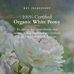 Lotus Organics+ Cosmetics Precious Brightening Under Eye Cream 15ml Lotus Organics+ Cosmetics Precious Brightening Under Eye Cream 15ml