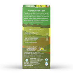 Organic India Tulsi Cinnamon Giloy Green Tea 25 Infusion Bag Organic India Tulsi Cinnamon Giloy Green Tea 25 Infusion Bag