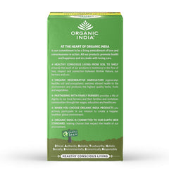 Organic India Tulsi Cinnamon Giloy Green Tea 25 Infusion Bag Organic India Tulsi Cinnamon Giloy Green Tea 25 Infusion Bag