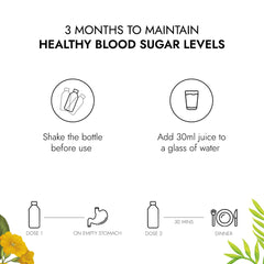 Kapiva Ayurvedic Dia Free Juice 1 Litre Kapiva Ayurvedic Dia Free Juice 1 Litre
