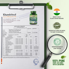 Himalayan Organics Glucosamine Chondroitin MSM 4520mg Vegetarian 120 Tablets Himalayan Organics Glucosamine Chondroitin MSM 4520mg Vegetarian 120 Tablets