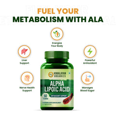 Himalayan Organics Alpha Lipoic Acid Vegetarian 60 Tablets Himalayan Organics Alpha Lipoic Acid Vegetarian 60 Tablets