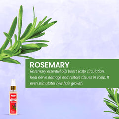 Bakson's Sunny Herbals Jaborandi Hair Serum Controls Hair Loss With Lavender & Jaborandi Oil 100ml Bakson's Sunny Herbals Jaborandi Hair Serum Controls Hair Loss With Lavender & Jaborandi Oil 100ml