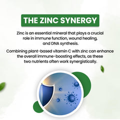 Himalayan Organics Zinc With Vitamin C Vegetarian 120 Tablets Himalayan Organics Zinc With Vitamin C Vegetarian 120 Tablets