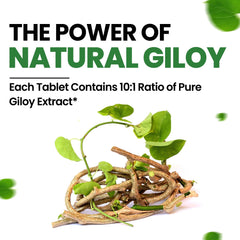 Himalayan Organics Giloy Extract 500mg Vegetarian 120 Tablets Himalayan Organics Giloy Extract 500mg Vegetarian 120 Tablets
