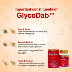 Dabur Ayurvedic GlycoDab 60 Tablets Dabur Ayurvedic GlycoDab 60 Tablets