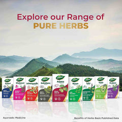 Dabur Ayurvedic Arjuna 60 Tablets Dabur Ayurvedic Arjuna 60 Tablets
