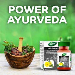 Dabur Ayurvedic Gokshura 60 Tablets Dabur Ayurvedic Gokshura 60 Tablets