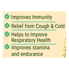 Patanjali Ayurvedic Shila Tulsi Drops 30ml Patanjali Ayurvedic Shila Tulsi Drops 30ml