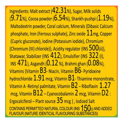 Patanjali Herbal Powervita Plus Powder Patanjali Herbal Powervita Plus Powder