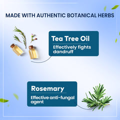 Himalaya Herbals Anti Dandruff Hair Oil Himalaya Herbals Anti Dandruff Hair Oil