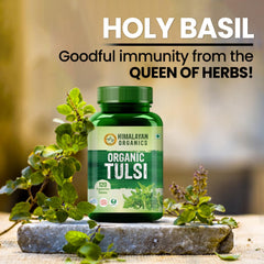 Himalayan Organics Tulsi Vegetarian 120 Tablets Himalayan Organics Tulsi Vegetarian 120 Tablets