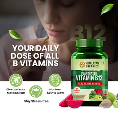 Himalayan Organics Plant Based Vitamin B12 Vegetarian 60 Capsules Himalayan Organics Plant Based Vitamin B12 Vegetarian 60 Capsules