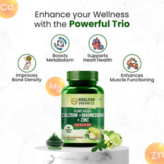 Himalayan Organics Plant Based Calcium Magnesium Zinc D3 + K2 Vegetarian 120 Capsules Himalayan Organics Plant Based Calcium Magnesium Zinc D3 + K2 Vegetarian 120 Capsules