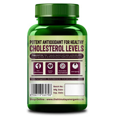 Himalayan Organics Grape Seed Extract 500mg Vegetarian 90 Capsules Himalayan Organics Grape Seed Extract 500mg Vegetarian 90 Capsules