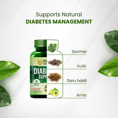 Himalayan Organics Diabetes Support Vegetarian 60 Capsules Himalayan Organics Diabetes Support Vegetarian 60 Capsules