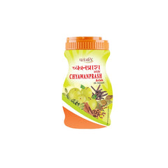 Patanjali Ayurvedic Chyawanprash 1Kg Patanjali Ayurvedic Chyawanprash 1Kg