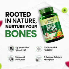 Himalayan Organics Plant Based Bone Strength Vegetarian 60 Capsules Himalayan Organics Plant Based Bone Strength Vegetarian 60 Capsules