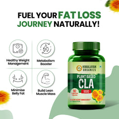 Himalayan Organics Plant Based CLA 1000 Vegetarian 90 Capsules Himalayan Organics Plant Based CLA 1000 Vegetarian 90 Capsules