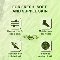 Himalaya Herbals Aloe Vera Refreshing Body Gel Himalaya Herbals Aloe Vera Refreshing Body Gel