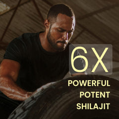 Himalayan Organics Himalayan Shilajit/Shilajeet 20g Himalayan Organics Himalayan Shilajit/Shilajeet 20g