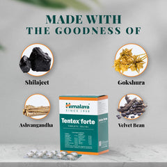Himalaya Herbal Tentex Forte 10 Tablets Himalaya Herbal Tentex Forte 10 Tablets