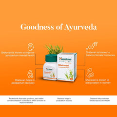Himalaya Pure Herbs Shatavari Women's Wellness 60 Tablets Himalaya Pure Herbs Shatavari Women's Wellness 60 Tablets