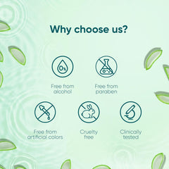 Himalaya Moisturizing Aloe Vera Facial Wipes Himalaya Moisturizing Aloe Vera Facial Wipes