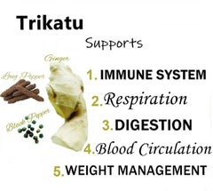 Himalaya Pure Herbs Trikatu Digestive Wellness 60 Tablets Himalaya Pure Herbs Trikatu Digestive Wellness 60 Tablets