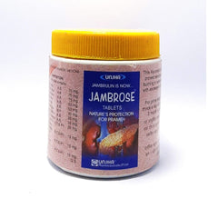 Unjha Ayurvedic Jambrose Tablets Unjha Ayurvedic Jambrose Tablets