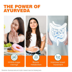 Himalaya Wellness Ayurslim Capsules Himalaya Wellness Ayurslim Capsules