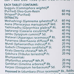 Himalaya Diabecon (DS) 60 Tablets Himalaya Diabecon (DS) 60 Tablets