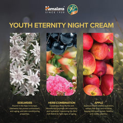 Himalaya Youth Eternity Night Cream 50ml Himalaya Youth Eternity Night Cream 50ml