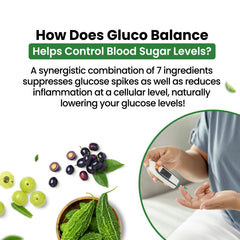 Himalayan Organics Plant Based Gluco Balance Vegetarian 60 Tablets Himalayan Organics Plant Based Gluco Balance Vegetarian 60 Tablets